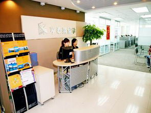 沈陽亨泰萊信息咨詢服務加入助威團，以專業力量賦能企業發展