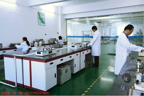 東莞工地設備計量校準下廠服務、外校與信息咨詢綜合解析